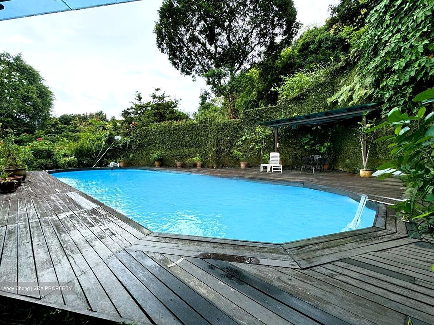 Swiss View (D11), Detached #480732001